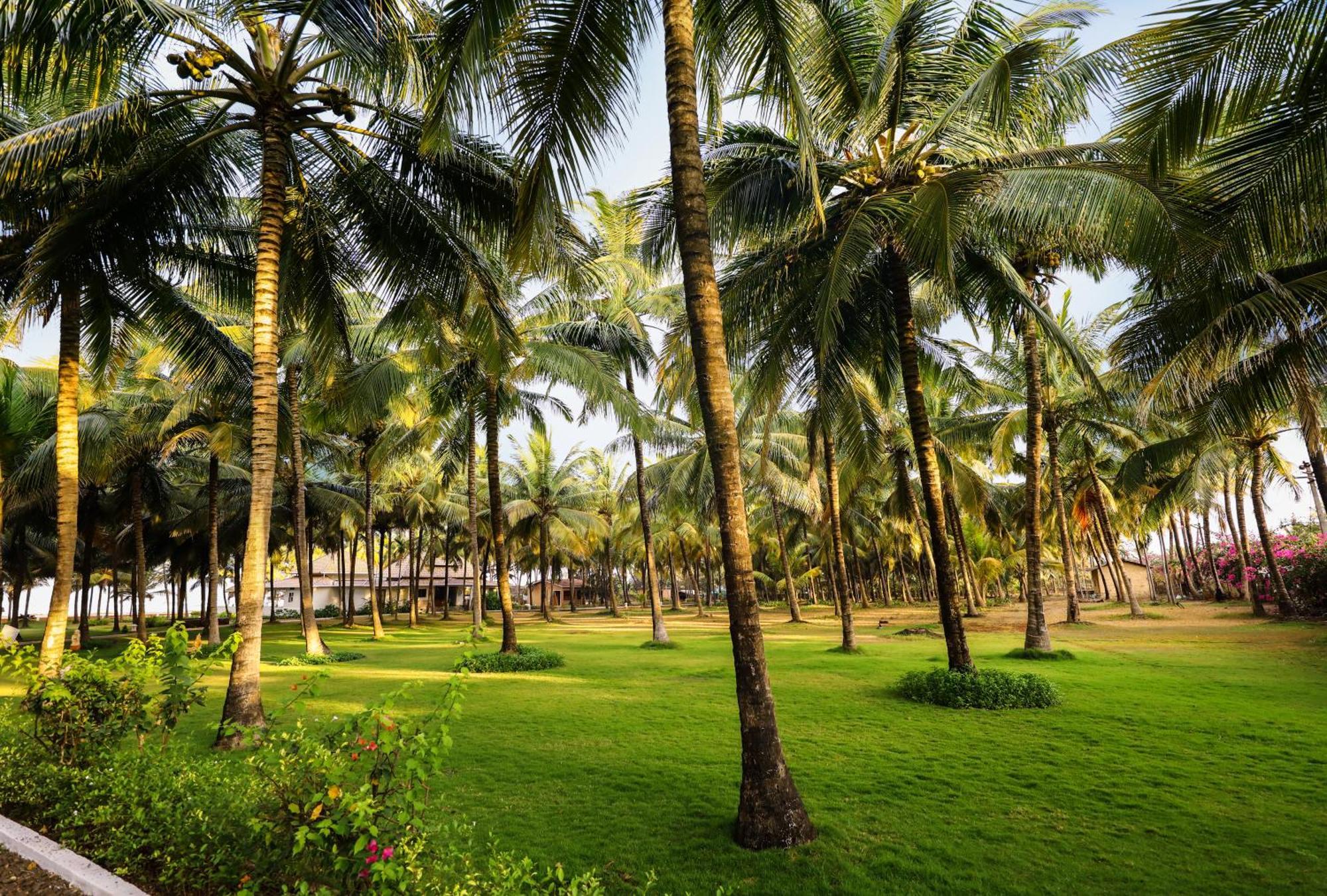 Blue Ocean The Fern Resort & Spa Ganpatipule Exterior photo