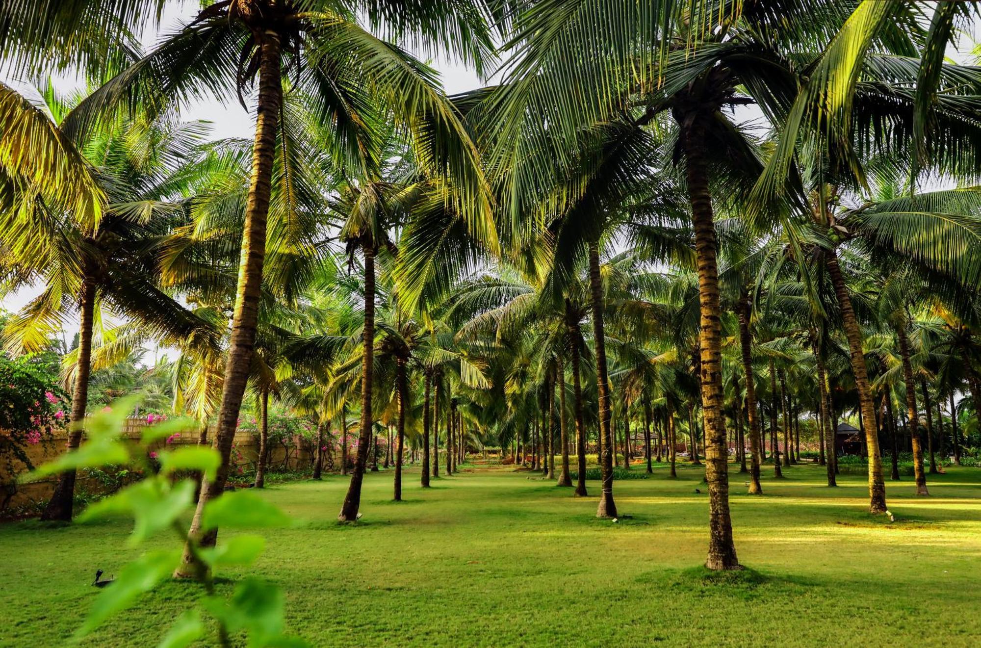 Blue Ocean The Fern Resort & Spa Ganpatipule Exterior photo